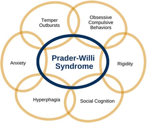 autism and prada syndrome|Prader.